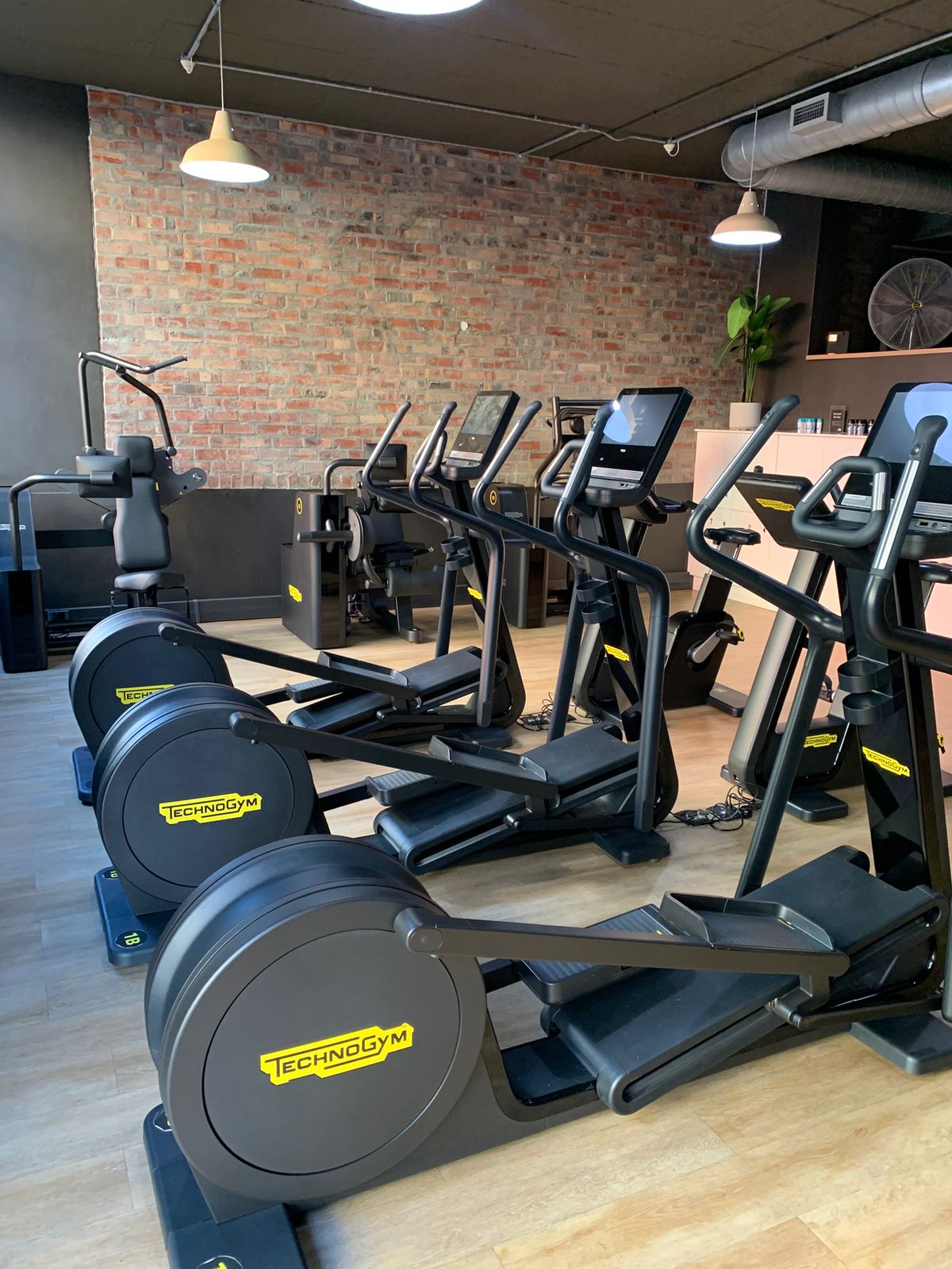 Threezero ellipticals and brick wall